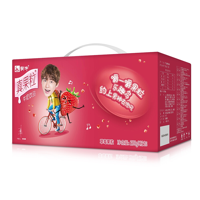 蒙牛 真果粒牛奶饮品(草莓)250g*12 礼盒装 青春有你训练生助力版