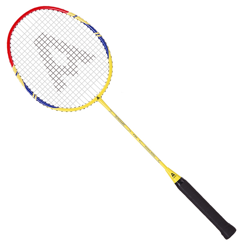 安格耐特(agnite)羽毛球拍对拍 混合双打羽拍入门套装f2111